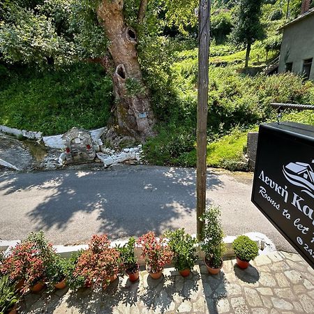 Λευκή Καμέλια 호텔 Anilio Pelion 외부 사진