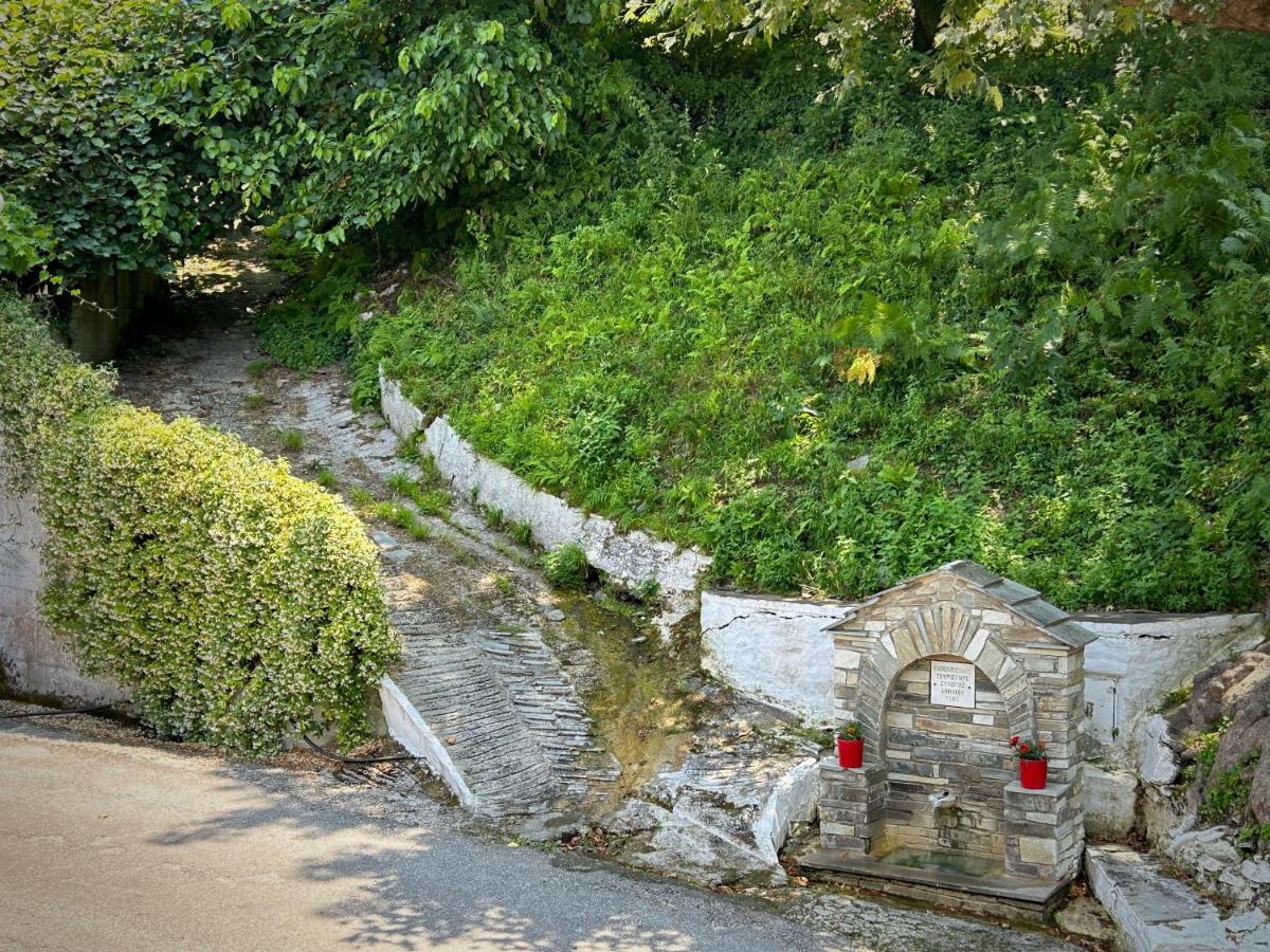 Λευκή Καμέλια 호텔 Anilio Pelion 외부 사진