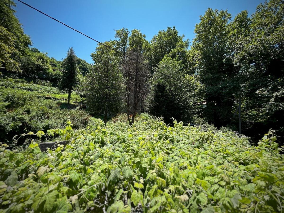 Λευκή Καμέλια 호텔 Anilio Pelion 외부 사진