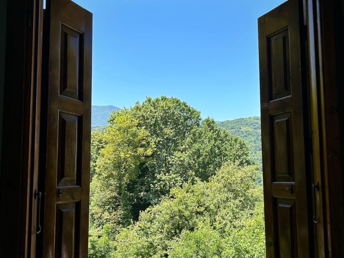 Λευκή Καμέλια 호텔 Anilio Pelion 외부 사진
