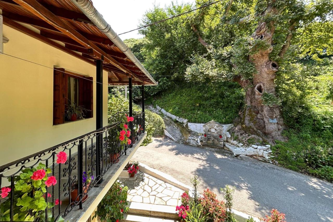 Λευκή Καμέλια 호텔 Anilio Pelion 외부 사진