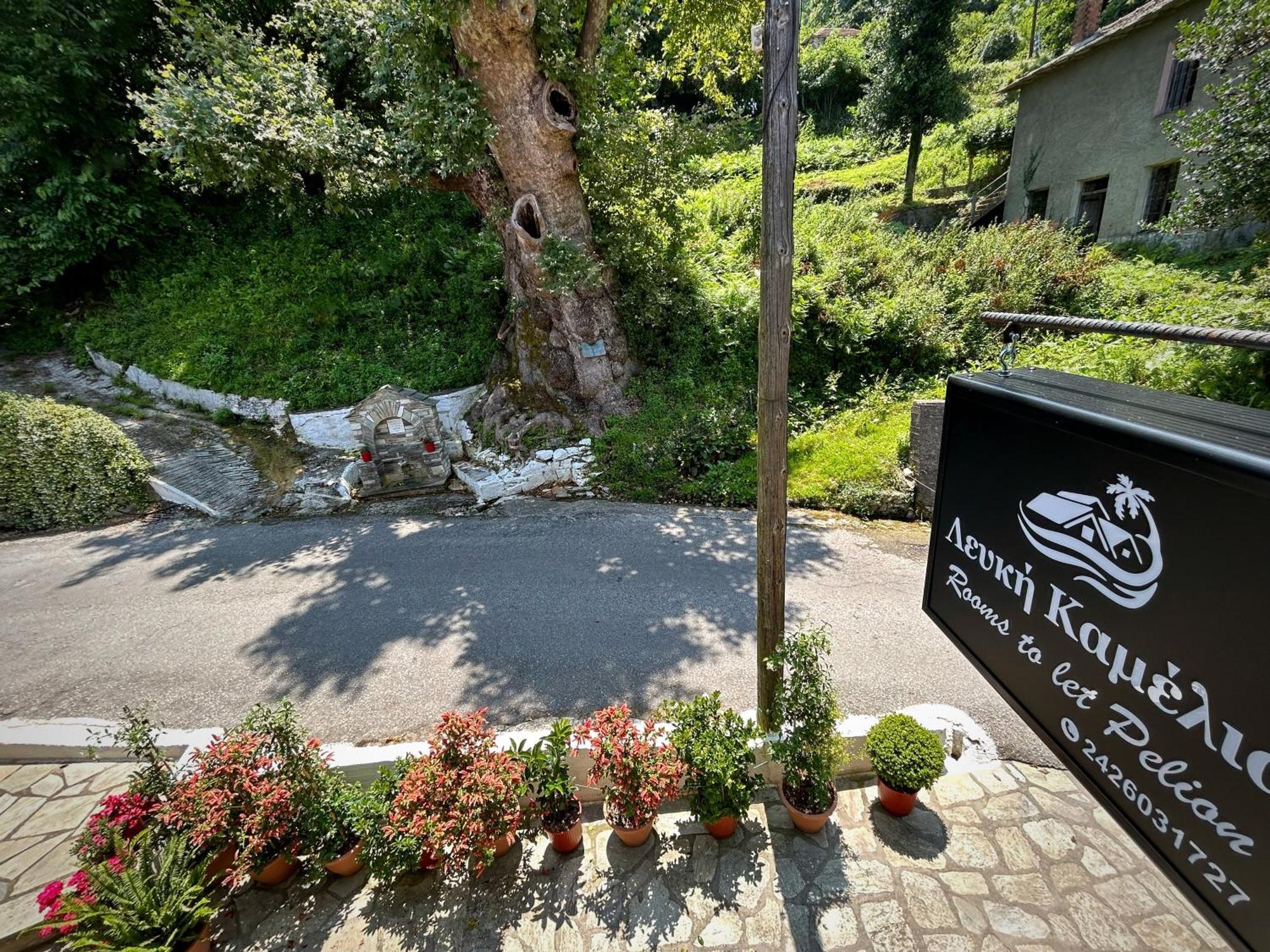 Λευκή Καμέλια 호텔 Anilio Pelion 외부 사진