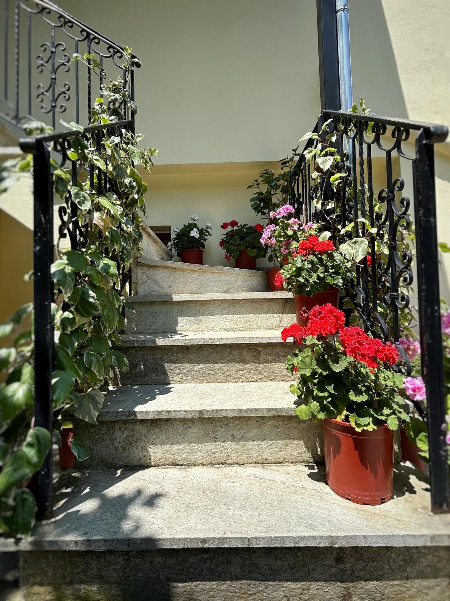 Λευκή Καμέλια 호텔 Anilio Pelion 외부 사진