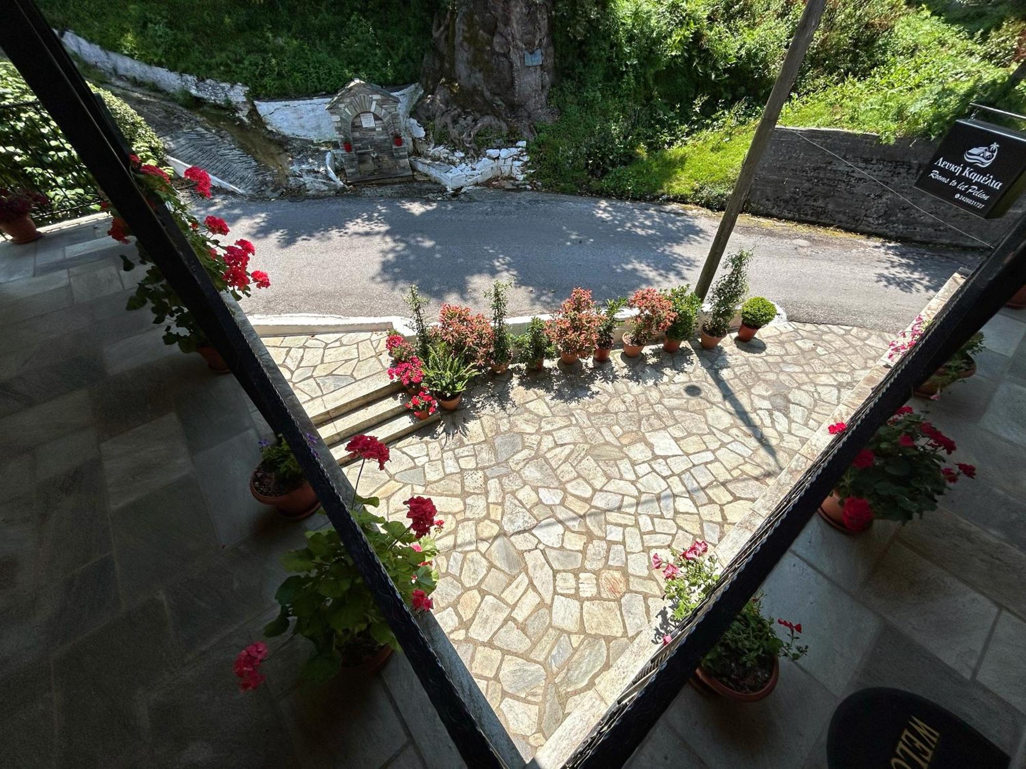 Λευκή Καμέλια 호텔 Anilio Pelion 외부 사진